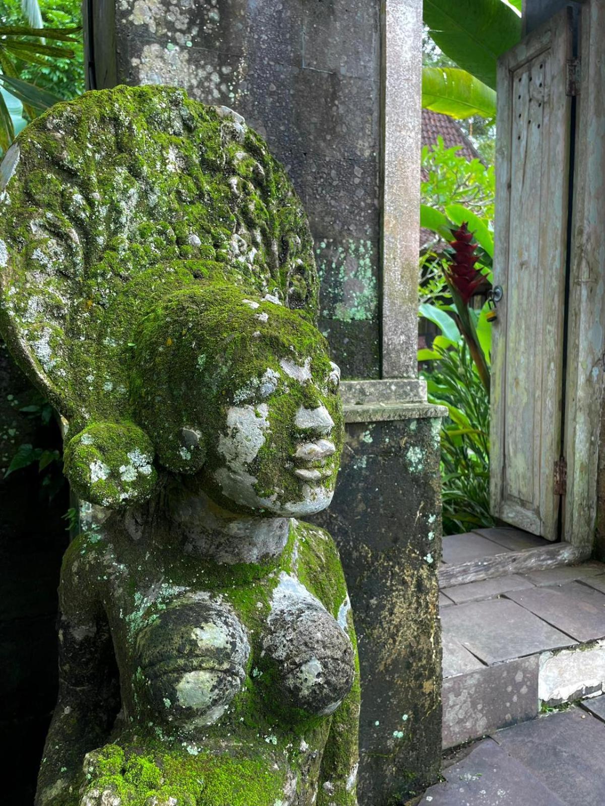 Thani Villa Ubud Exterior foto